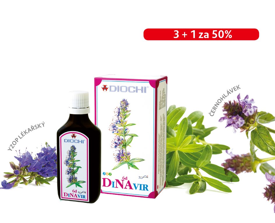 dinavir s bylinami