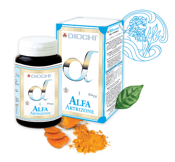 ALFA - ARTRIZONE - kapsle 90 ks