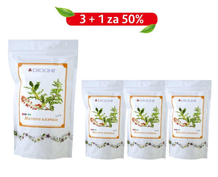 AKCE: Maytenus ilicifolia 3+1 za 50%