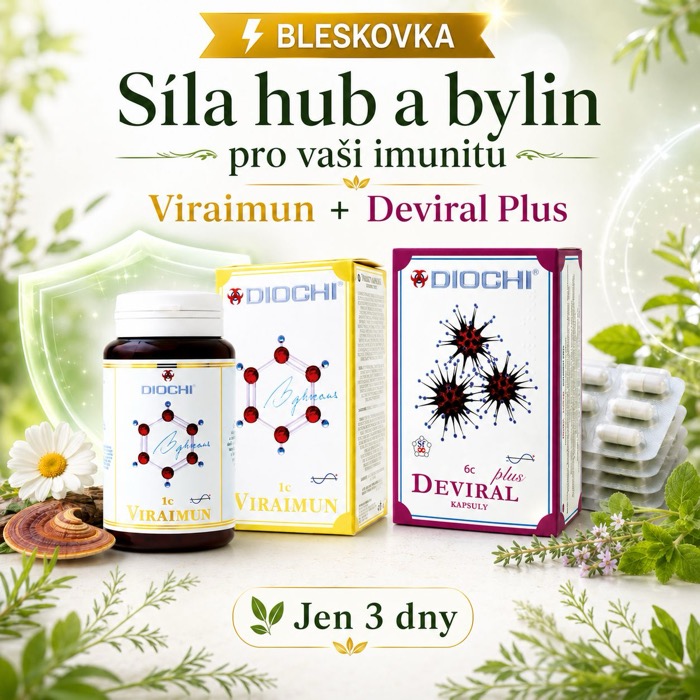 ! Bleskovka: Síla hub a bylin pro vaši imunitu