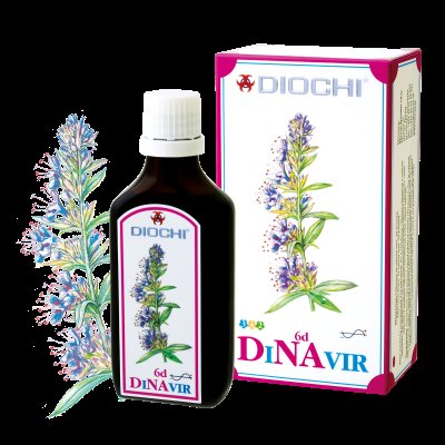 web dinavirkopie