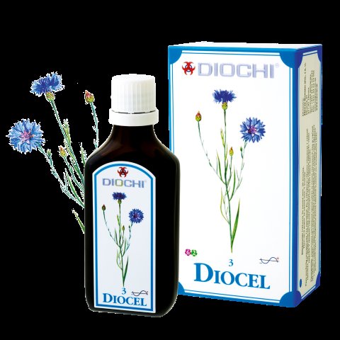 web diocel